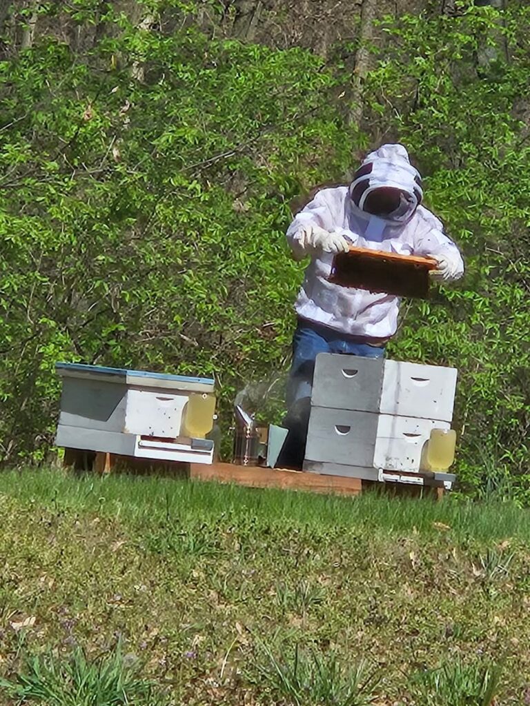 Bee Keeping Tours Grampa Woody's Honey Bee Keeping Tours Grampa Woody's Honey